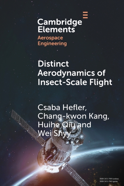 Distinct Aerodynamics of Insect-Scale Flight, Paperback / softback Book