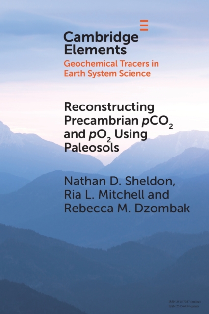 Reconstructing Precambrian pCO2 and pO2 Using Paleosols, Paperback / softback Book