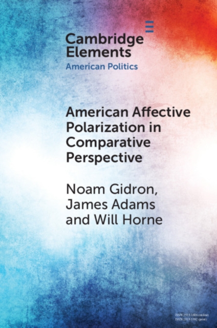American Affective Polarization in Comparative Perspective, Paperback / softback Book
