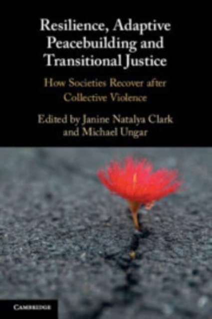 Resilience, Adaptive Peacebuilding and Transitional Justice : How Societies Recover after Collective Violence, Paperback / softback Book