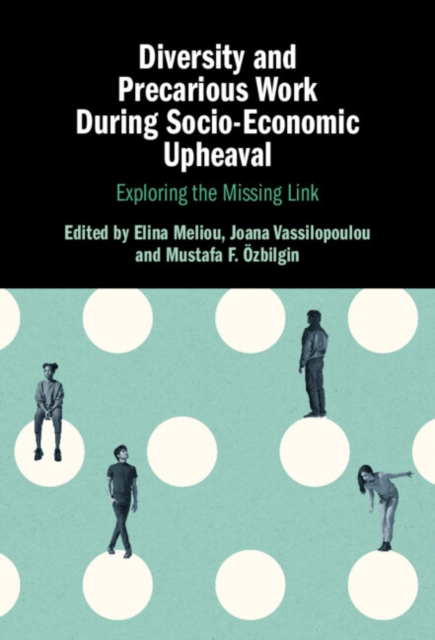 Diversity and Precarious Work During Socio-Economic Upheaval : Exploring the Missing Link, Hardback Book