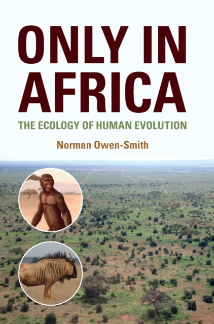 Only in Africa : The Ecology of Human Evolution, Hardback Book