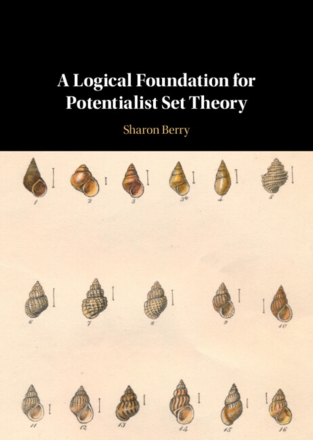 A Logical Foundation for Potentialist Set Theory, Hardback Book