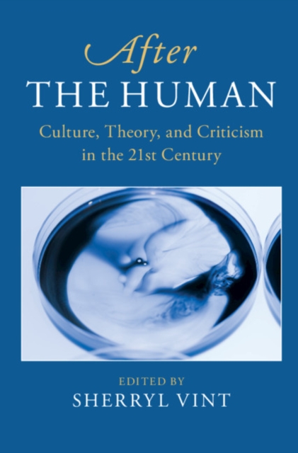 After the Human : Culture, Theory and Criticism in the 21st Century, EPUB eBook