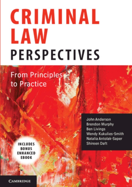 Criminal Law Perspectives : From Principles to Practice, Mixed media product Book