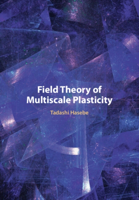 Field Theory of Multiscale Plasticity, PDF eBook
