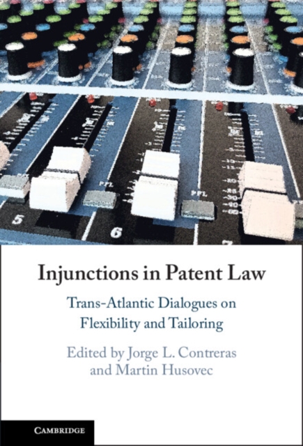 Injunctions in Patent Law : Trans-Atlantic Dialogues on Flexibility and Tailoring, PDF eBook