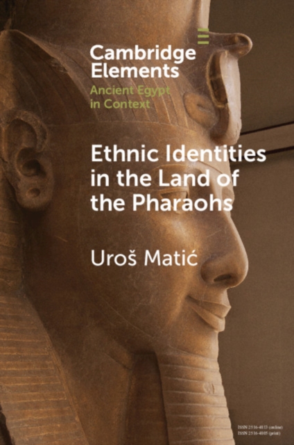 Ethnic Identities in the Land of the Pharaohs : Past and Present Approaches in Egyptology, EPUB eBook