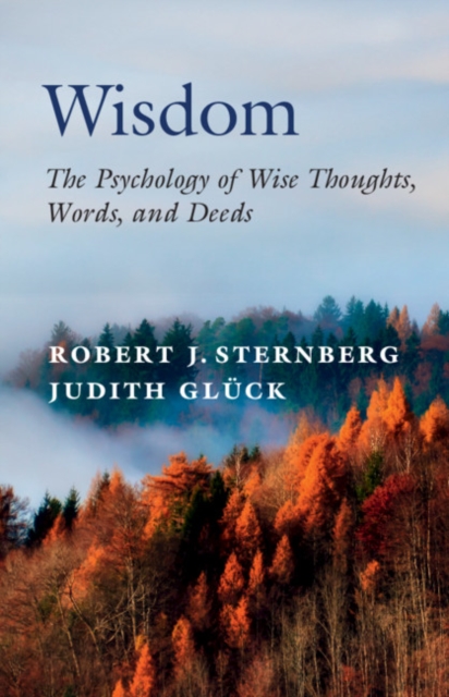 Wisdom : The Psychology of Wise Thoughts, Words, and Deeds, EPUB eBook