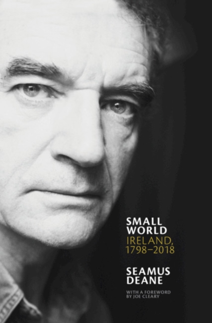 Small World : Ireland, 1798-2018, PDF eBook