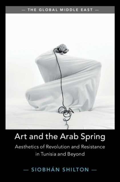 Art and the Arab Spring : Aesthetics of Revolution and Resistance in Tunisia and Beyond, EPUB eBook
