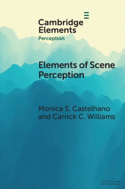 Elements of Scene Perception, PDF eBook