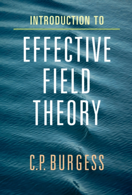 Introduction to Effective Field Theory : Thinking Effectively about Hierarchies of Scale, EPUB eBook