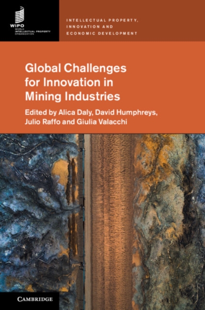 Global Challenges for Innovation in Mining Industries, EPUB eBook