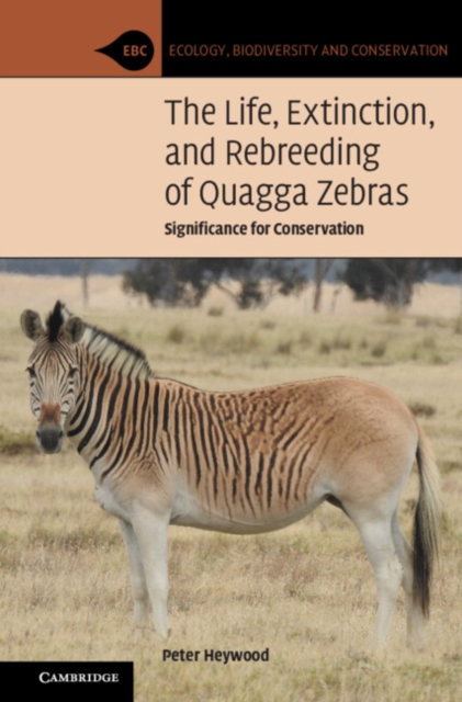 The Life, Extinction, and Rebreeding of Quagga Zebras : Significance for Conservation, Paperback / softback Book