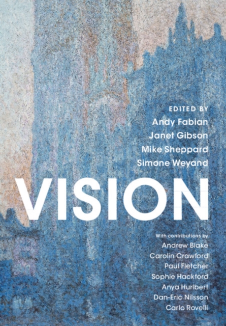 Vision, Paperback / softback Book