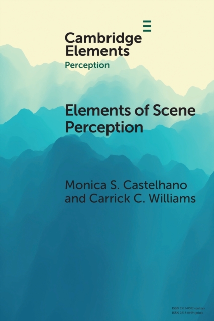Elements of Scene Perception, Paperback / softback Book