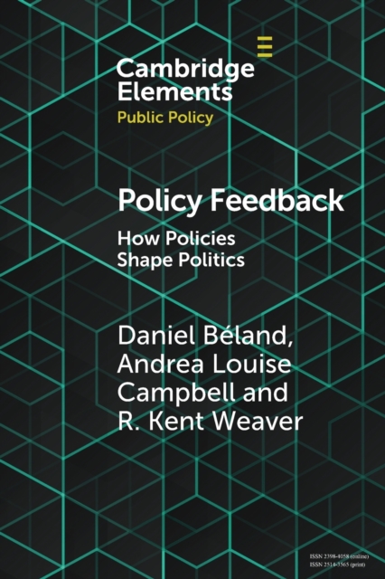 Policy Feedback : How Policies Shape Politics, Paperback / softback Book