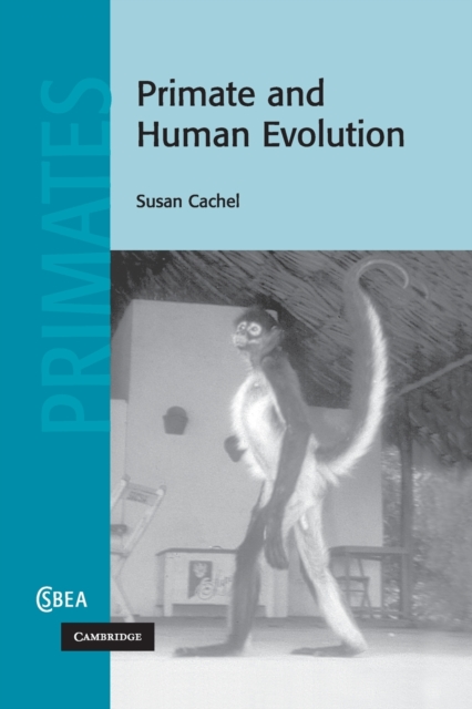 Primate and Human Evolution, Paperback / softback Book