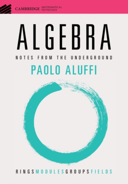 Algebra : Notes from the Underground, PDF eBook