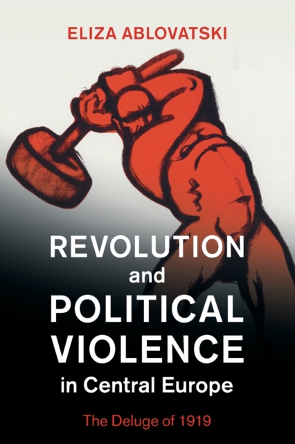 Revolution and Political Violence in Central Europe : The Deluge of 1919, Paperback / softback Book