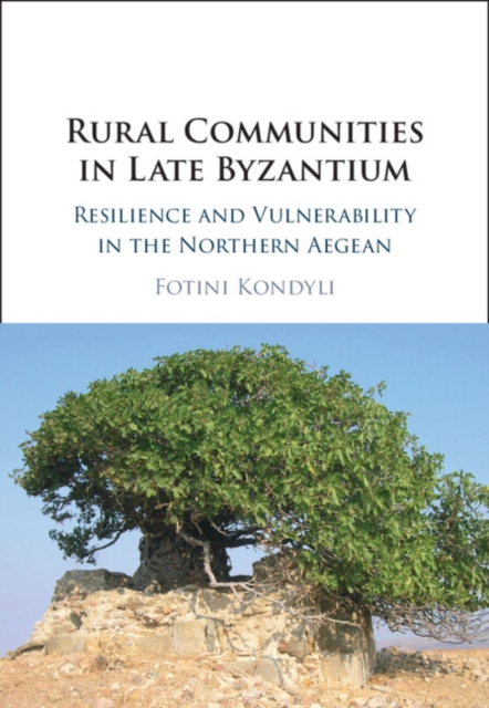 Rural Communities in Late Byzantium : Resilience and Vulnerability in the Northern Aegean, EPUB eBook