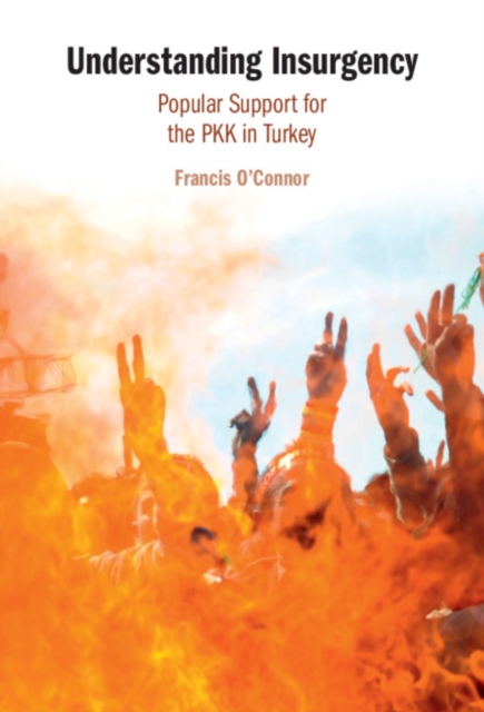Understanding Insurgency : Popular Support for the PKK in Turkey, PDF eBook