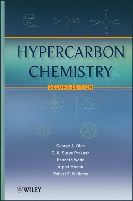 Hypercarbon Chemistry, EPUB eBook