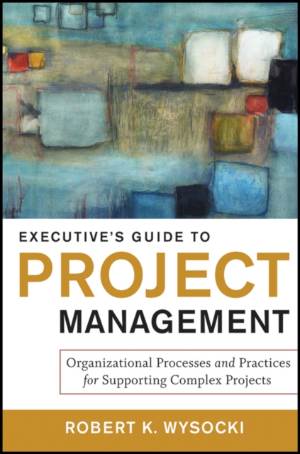 Executive's Guide to Project Management : Organizational Processes and Practices for Supporting Complex Projects, PDF eBook