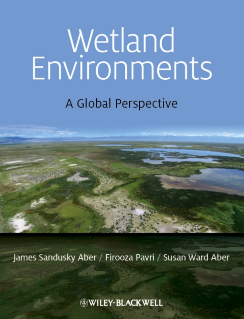 Wetland Environments : A Global Perspective, PDF eBook