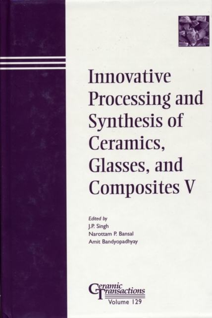 Innovative Processing and Synthesis of Ceramics, Glasses, and Composites V, PDF eBook