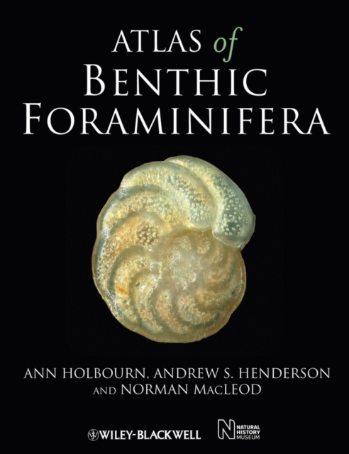 Atlas of Benthic Foraminifera, EPUB eBook