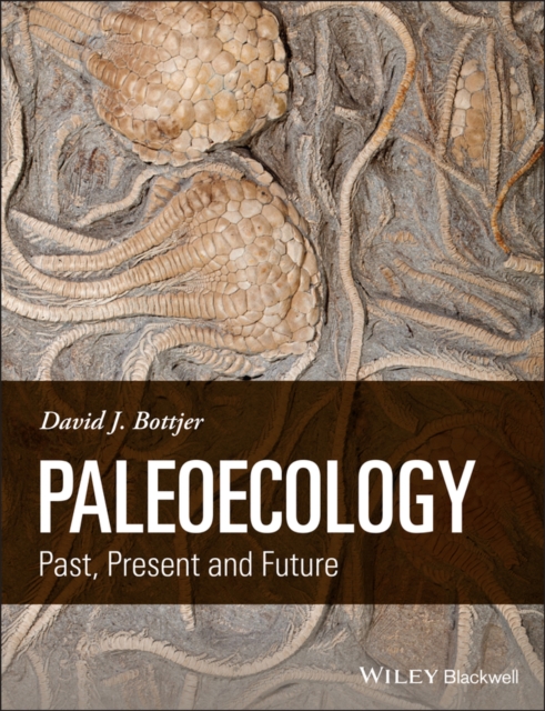 Paleoecology : Past, Present and Future, Paperback / softback Book