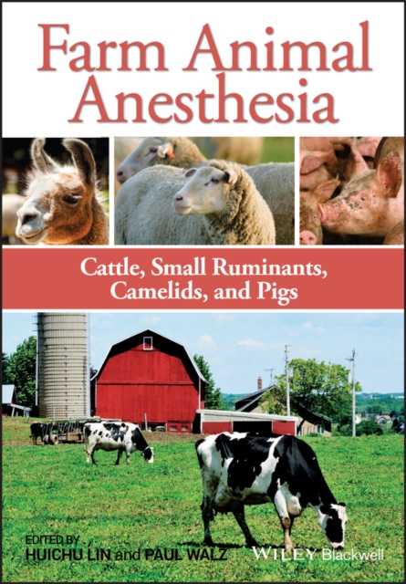 Farm Animal Anesthesia : Cattle, Small Ruminants, Camelids, and Pigs, Paperback / softback Book