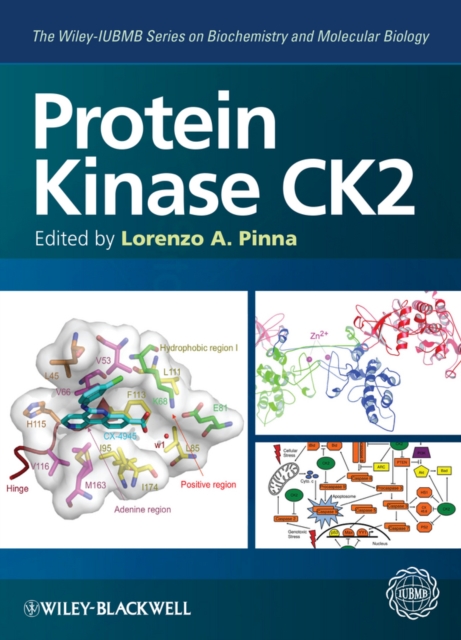 Protein Kinase CK2, EPUB eBook