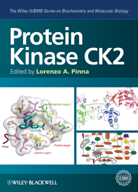 Protein Kinase CK2, PDF eBook