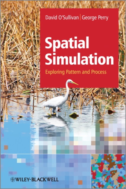 Spatial Simulation : Exploring Pattern and Process, EPUB eBook