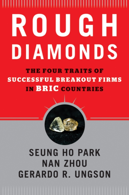 Rough Diamonds : The Four Traits of Successful Breakout Firms in BRIC Countries, Hardback Book