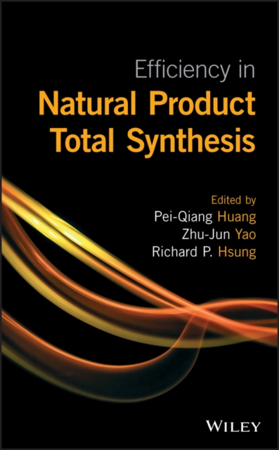 Efficiency in Natural Product Total Synthesis, Hardback Book