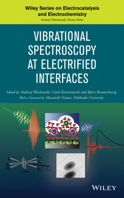 Vibrational Spectroscopy at Electrified Interfaces, PDF eBook