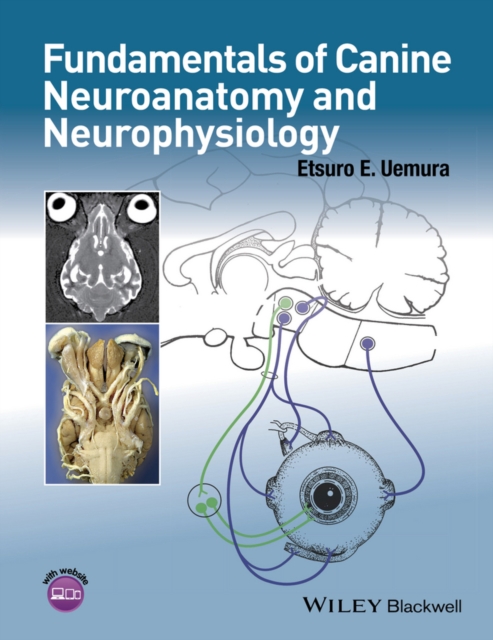 Fundamentals of Canine Neuroanatomy and Neurophysiology, Paperback / softback Book