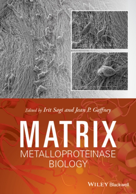 Matrix Metalloproteinase Biology, PDF eBook