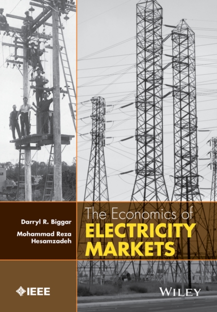 The Economics of Electricity Markets, EPUB eBook