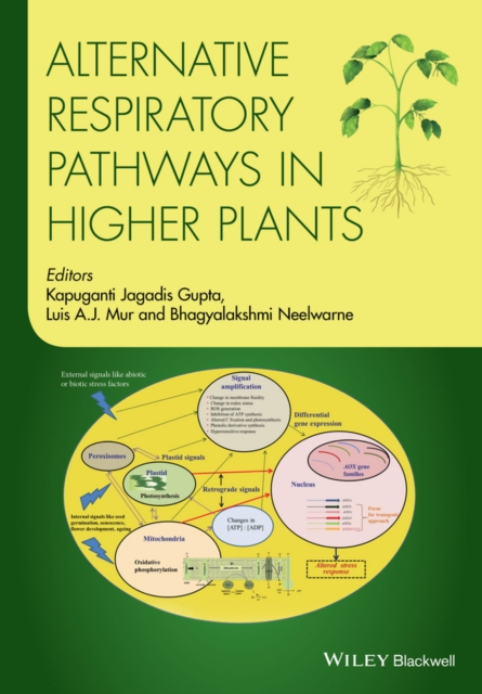 Alternative Respiratory Pathways in Higher Plants, Hardback Book