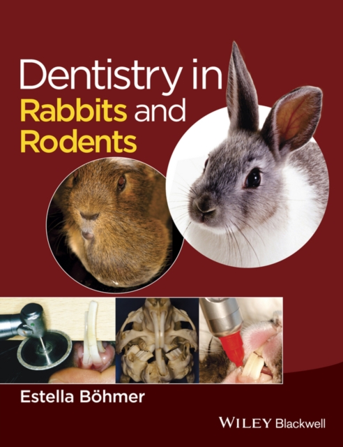 Dentistry in Rabbits and Rodents, Hardback Book