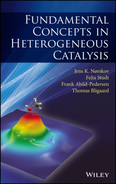 Fundamental Concepts in Heterogeneous Catalysis, Hardback Book