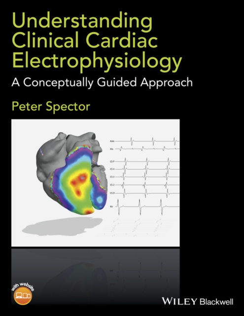 Understanding Clinical Cardiac Electrophysiology : A Conceptually Guided Approach, Paperback / softback Book