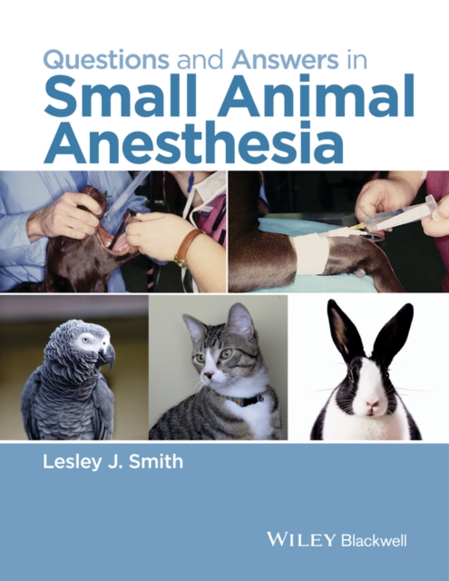 Questions and Answers in Small Animal Anesthesia, Paperback / softback Book