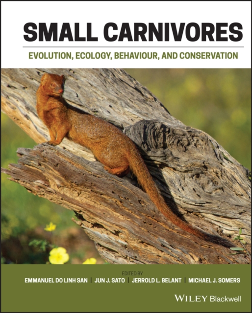 Small Carnivores : Evolution, Ecology, Behaviour and Conservation, PDF eBook