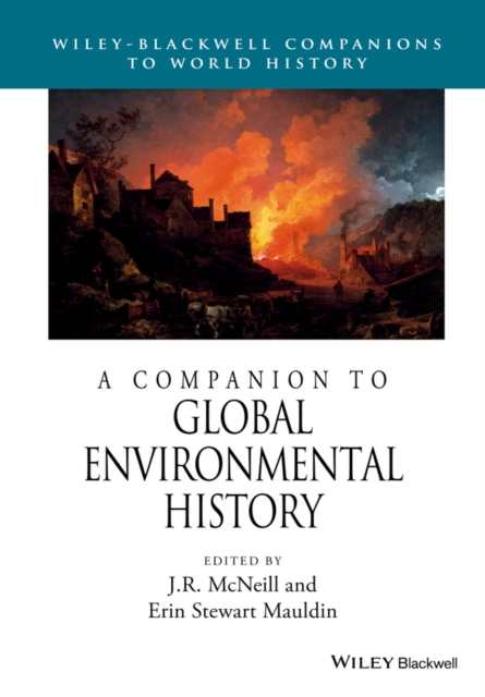 A Companion to Global Environmental History, Paperback / softback Book